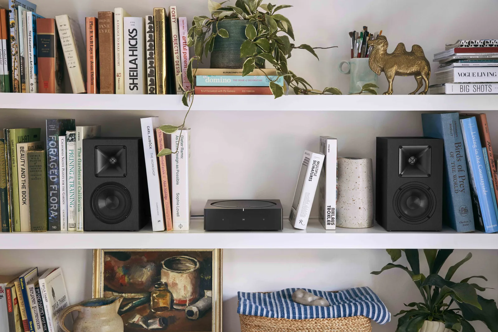 Sonos Amp powering a pair of bookshelf speakers on a shelf