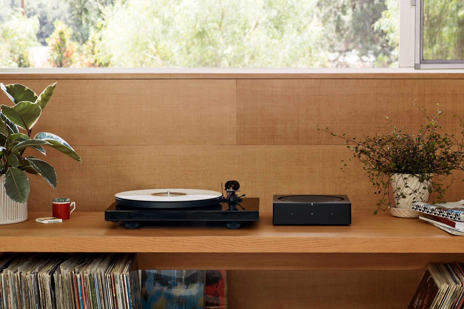 Turntable and plants on wooden shelf.